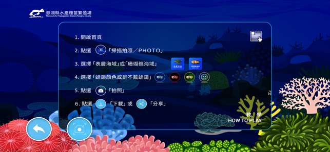 海洋生物拍照趣图3