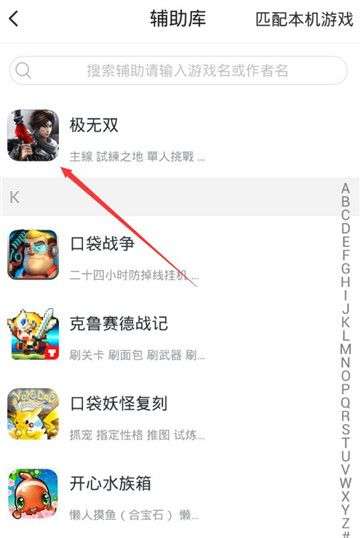 极无双辅助图2