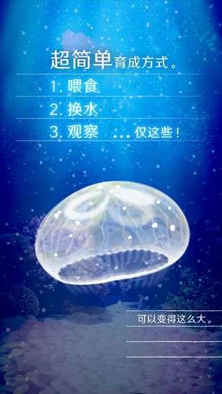 养育水母的治愈游戏图4