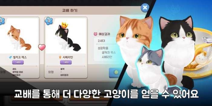 可爱猫咪养育家图4