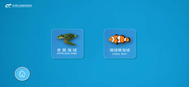海洋生物拍照趣图5