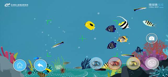 海洋生物拍照趣图4