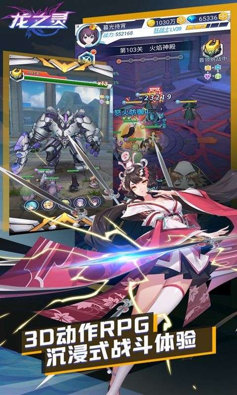龙之灵女武神图1