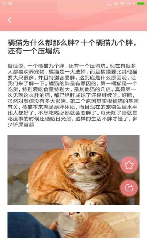 宠物公社图1