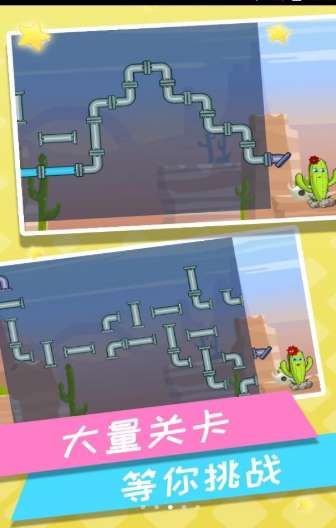 救救仙人掌图2