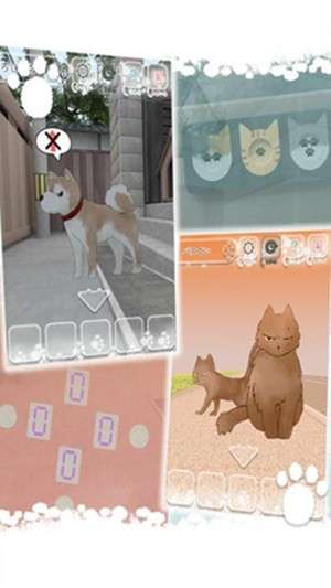 迷路的猫图1