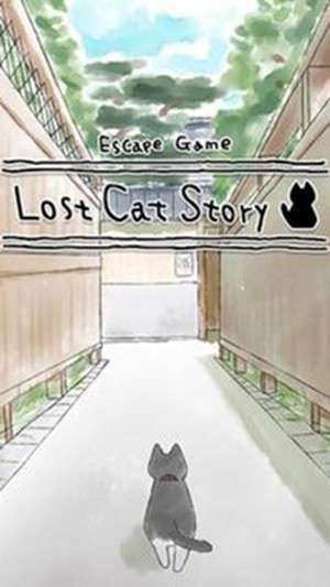 迷路的猫图2