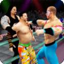 WWE计划2020