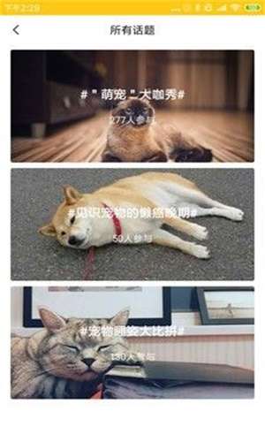 萌物链图3