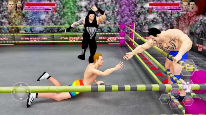 WWE计划2020图3