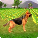 牧羊犬模拟2020