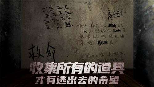 南极洲88图3