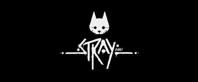 stray图1