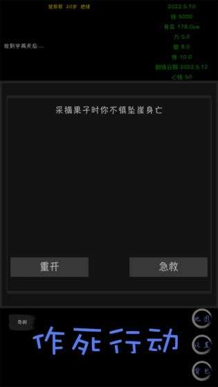 天外来珠图4