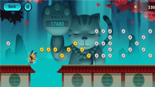 忍者猫咪Ninfa Cat图3