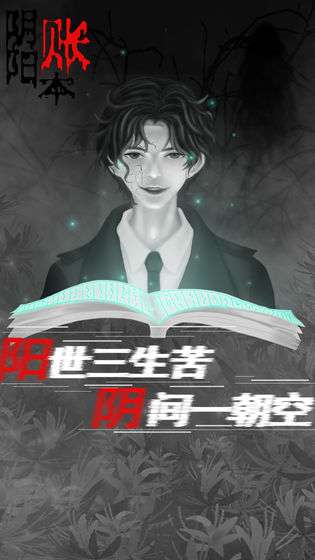 阴阳账本图4