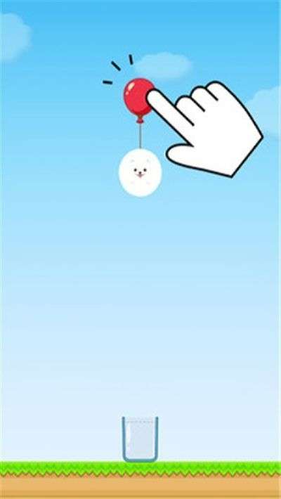茶杯狗图3