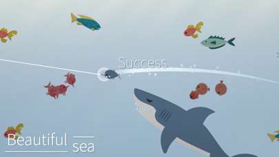Fishing and Life图7
