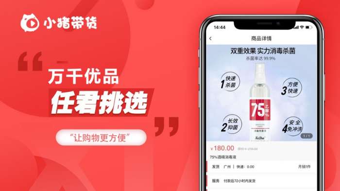 小猪带货图2