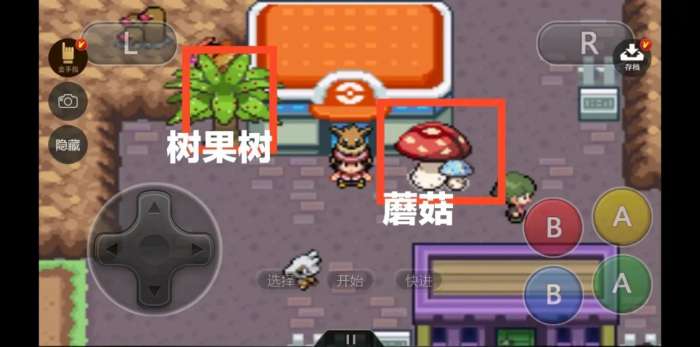 精灵宝可梦去吧伊布图1