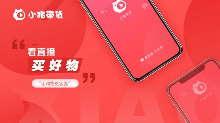 小猪带货图1