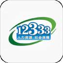 掌上12333