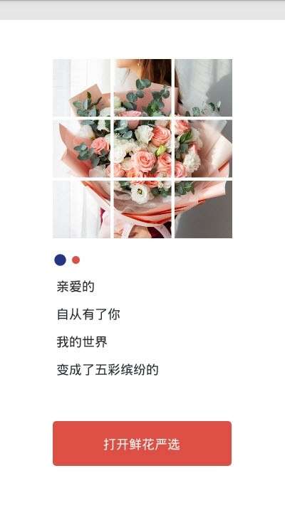 鲜花严选图1