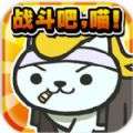 猫猫争霸赛小熙