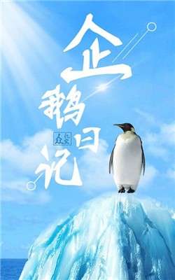 企鹅日记图3