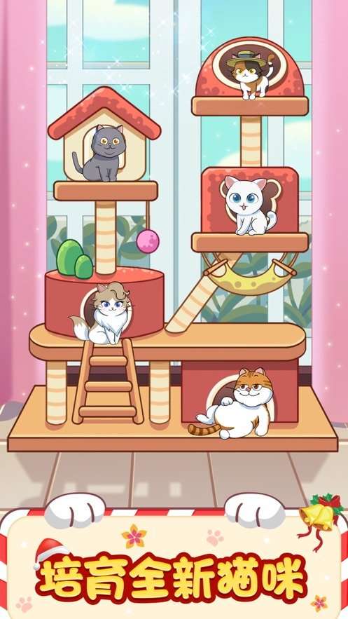 猫咪小家红包版图3