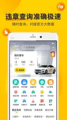 车辆违章拍照信息查询图3