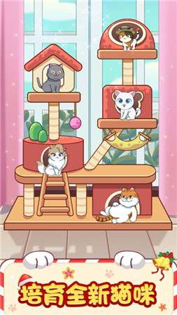 猫咪小家图4