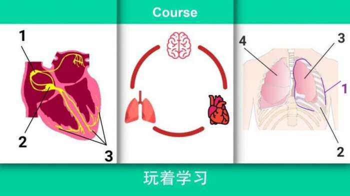 现实医疗模拟器图1