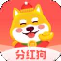 小房子宠物分红狗