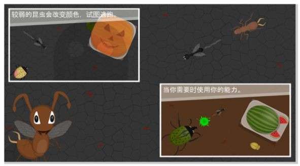 蚂蚁进化世界图3