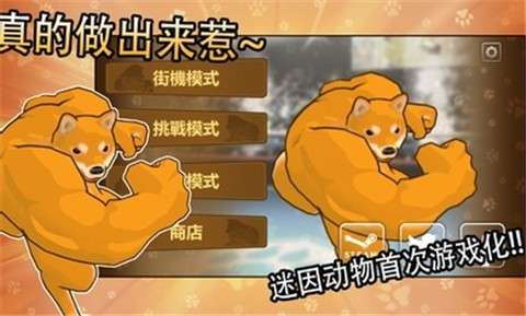 动物之斗手机版图2