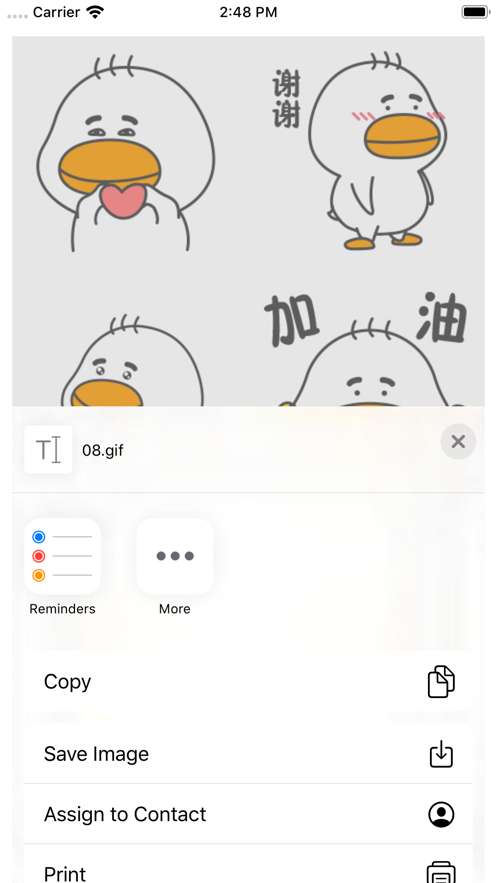球球鸭图2
