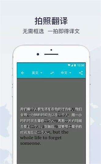 快速翻译图1
