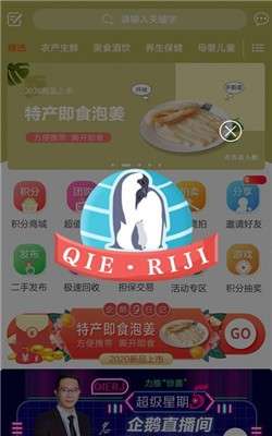 企鹅日记图1