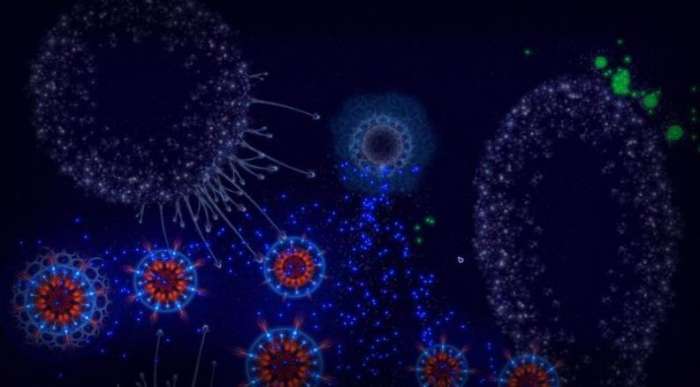 微生物模拟器中文版图1