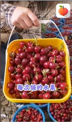 欢乐水果园图1
