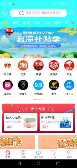 猫猫优选图3