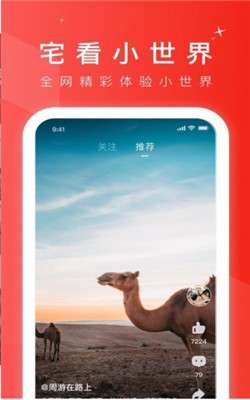 宅视频图4