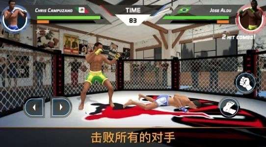 MMA格斗比赛3d图2