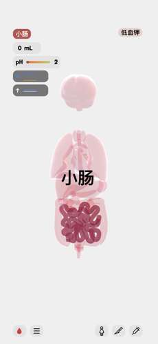 生命人体模拟器图4