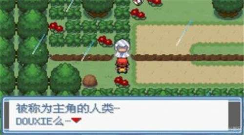 宝可梦旅途图2