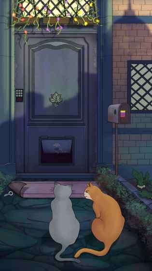 流浪的橘猫侠图1