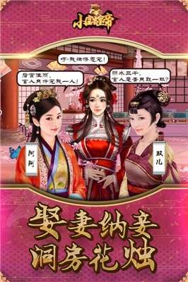 小宝当皇帝图4