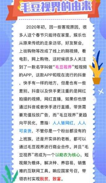 毛豆视频图3