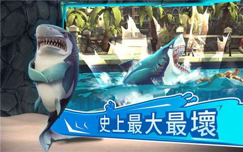 鲨鱼进化图2